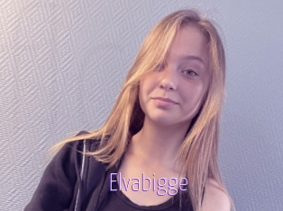 Elvabigge