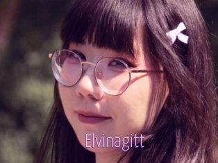 Elvinagitt