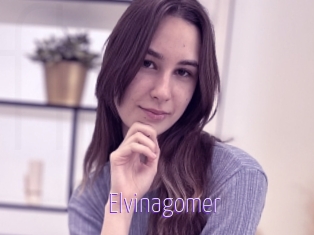 Elvinagomer