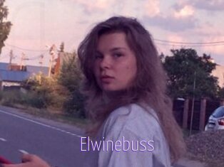 Elwinebuss