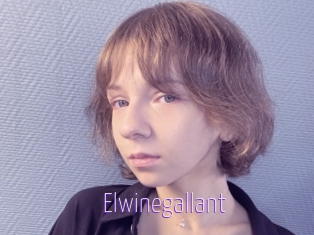 Elwinegallant