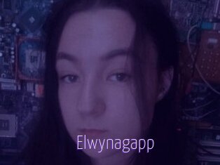 Elwynagapp
