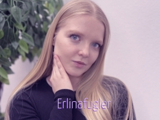 Erlinafugler