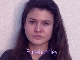Esmehandley