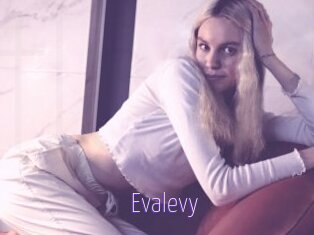 Evalevy