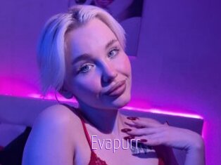 Evapurr
