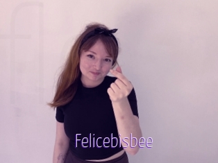 Felicebisbee