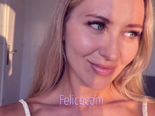 Felicecam
