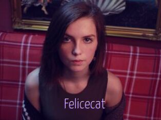Felicecat