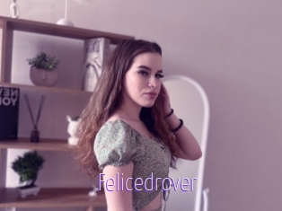 Felicedrover