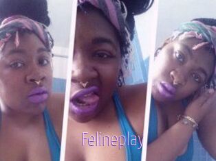 Felineplay