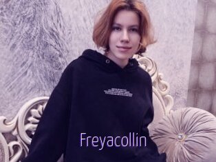 Freyacollin