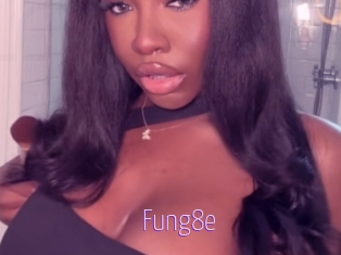 Fung8e