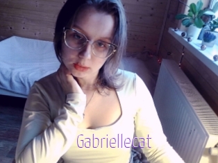Gabriellecat