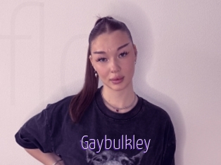 Gaybulkley
