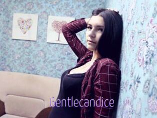 Gentlecandice