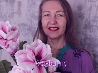 Greybunny