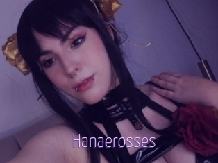 Hanaerosses
