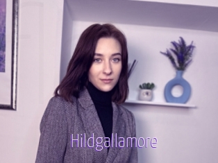 Hildgallamore