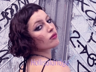 Hollisaldridge