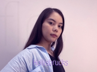 Hollisbrucks