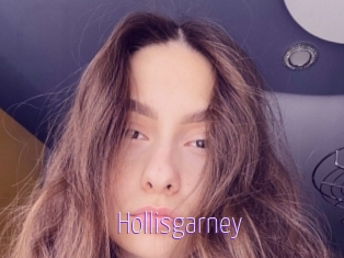 Hollisgarney