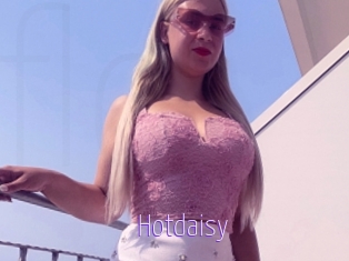 Hotdaisy