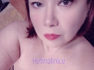 Hotmalinice