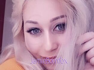 JamieBornfox