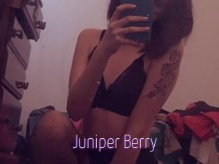 Juniper_Berry