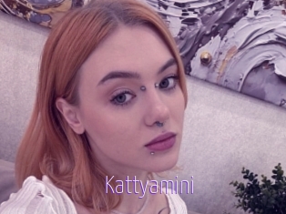 Kattyamini