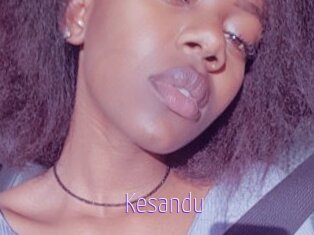Kesandu