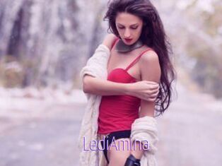 LediAmina