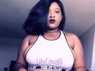 Lily_Cavalli