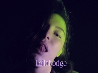 Leilabodge