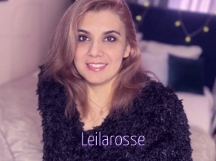 Leilarosse
