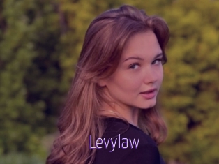 Levylaw