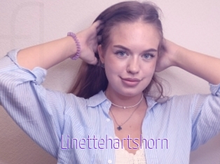 Linettehartshorn