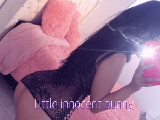 Little_innocent_bunny