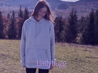 Lladybugg