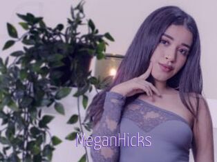 MeganHicks