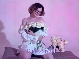 Madisonsoft