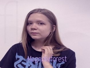 Magnoliaforest