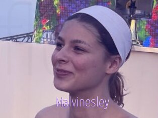 Malvinesley