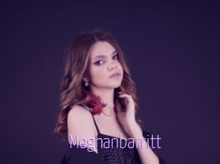 Meghanbarritt