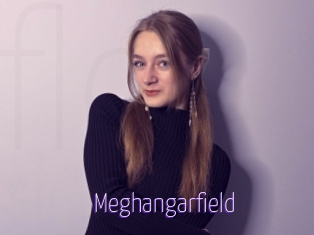 Meghangarfield