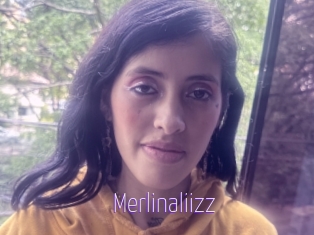 Merlinaliizz