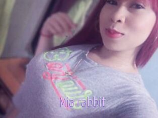 Mia_rabbit