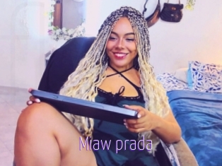 Miaw_prada