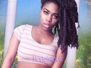 Modelmook